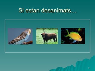 Si estan desanimats… 