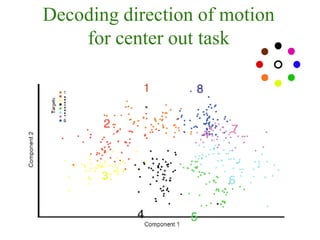 OBC | Observing the brain to know ourselves | PDF