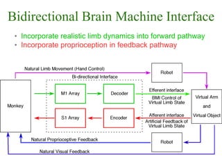 OBC | Observing the brain to know ourselves | PDF