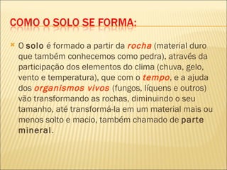 O  solo  é formado a partir da  rocha  (material duro que também conhecemos como pedra), através da participação dos elementos do clima (chuva, gelo, vento e temperatura), que com o  tempo , e a ajuda dos  organismos vivos  (fungos, líquens e outros) vão transformando as rochas, diminuindo o seu tamanho, até transformá-la em um material mais ou menos solto e macio, também chamado de  parte mineral .  