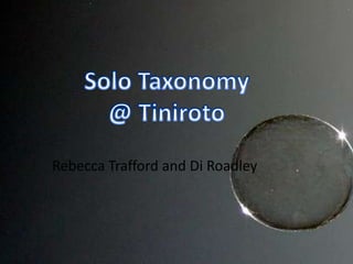 Solo Taxonomy @ Tiniroto Rebecca Trafford and Di Roadley 