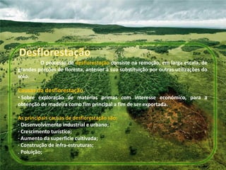 O processo de desflorestação consiste na remoção, em larga escala, de
grandes porções de floresta, anterior à sua substituição por outras utilizações do
solo.

Causas da desflorestação
• Sobre exploração de matérias primas com interesse económico, para a
obtenção de madeira como fim principal a fim de ser exportada.

As principais causas de desflorestação são:
· Desenvolvimento industrial e urbano;
· Crescimento turístico;
· Aumento da superfície cultivada;
· Construção de infra-estruturas;
. Poluição;
 