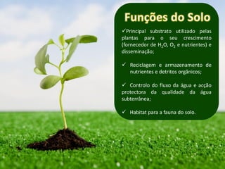 Principal substrato utilizado pelas
plantas para o seu crescimento
(fornecedor de H2O, O2 e nutrientes) e
disseminação;

 Reciclagem e armazenamento de
  nutrientes e detritos orgânicos;

 Controlo do fluxo da água e acção
protectora da qualidade da água
subterrânea;

 Habitat para a fauna do solo.
 