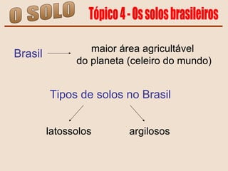 O SOLO Tópico 4 - Os solos brasileiros Brasil maior área agricultável  do planeta (celeiro do mundo) Tipos de solos no Brasil latossolos argilosos 