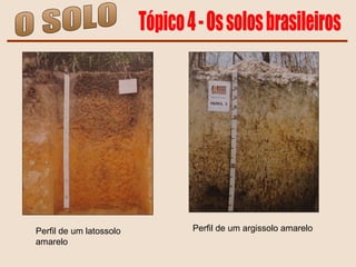 O SOLO Tópico 4 - Os solos brasileiros Perfil de um latossolo amarelo Perfil de um argissolo amarelo 