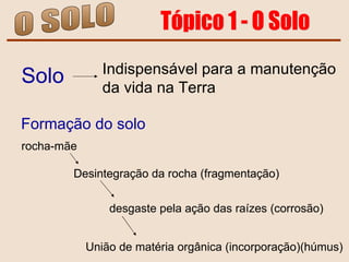 O SOLO Tópico 1 - O Solo Solo   Indispensável para a manutenção  da vida na Terra  Formação do solo   Desintegração da rocha (fragmentação)  desgaste pela ação das raízes (corrosão) União de matéria orgânica (incorporação)(húmus) rocha-mãe 