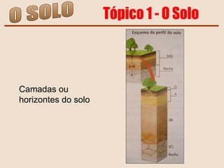 O SOLO Tópico 1 - O Solo Camadas ou  horizontes do solo  