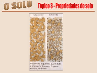 O SOLO Tópico 3 - Propriedades do solo 
