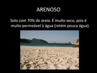 ARENOSO
Solo com 70% de areia. É muito seco, pois é
muito permeável à água (retém pouca água).
 