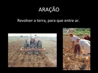 ARAÇÃO
Revolver a terra, para que entre ar.
 