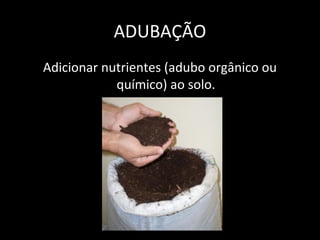 ADUBAÇÃO
Adicionar nutrientes (adubo orgânico ou
            químico) ao solo.
 