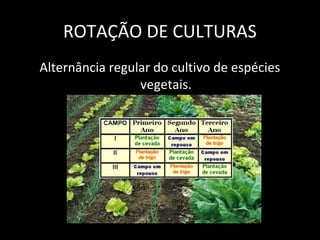ROTAÇÃO DE CULTURAS
Alternância regular do cultivo de espécies
                 vegetais.
 