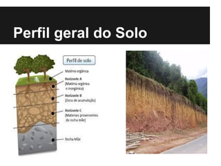Perfil geral do Solo