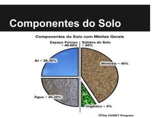 Componentes do Solo