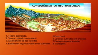 1. Terreno desmatado.
2. Terreno cultivado morro abaixo.
3. Assoreamento de rios e açudes.
4. Erosão com voçoroca invade terras cultivadas.
5.Êxodo rural.
6. Lavouras cultivadas sem proteção.
7.Pastagem exposta à erosão.
8. Inundações
 