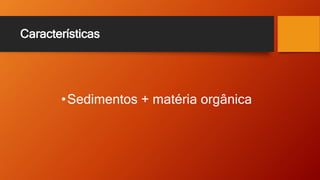 Características
•Sedimentos + matéria orgânica
 