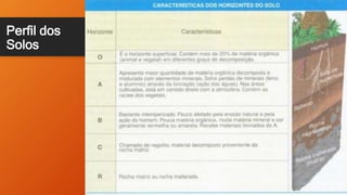 Perfil dos
Solos
 