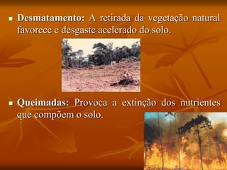  Desmatamento: A retirada da vegetação natural
favorece e desgaste acelerado do solo.
 Queimadas: Provoca a extinção dos nutrientes
que compõem o solo.
 