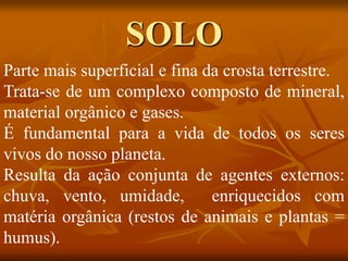 Parte mais superficial e fina da crosta terrestre.
Trata-se de um complexo composto de mineral,
material orgânico e gases.
É fundamental para a vida de todos os seres
vivos do nosso planeta.
Resulta da ação conjunta de agentes externos:
chuva, vento, umidade, enriquecidos com
matéria orgânica (restos de animais e plantas =
humus).
SOLO
 