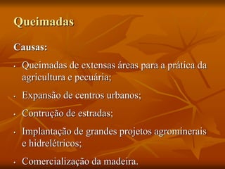 Causas:
• Queimadas de extensas áreas para a prática da
agricultura e pecuária;
• Expansão de centros urbanos;
• Contrução de estradas;
• Implantação de grandes projetos agrominerais
e hidrelétricos;
• Comercialização da madeira.
Queimadas
 