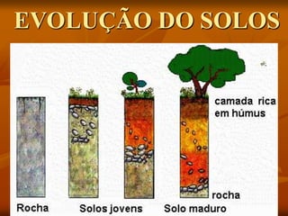 EVOLUÇÃO DO SOLOS
 