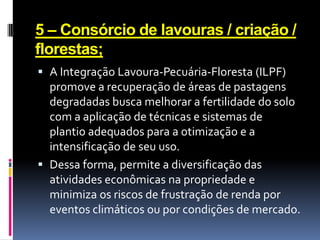 5 – Consórcio de lavouras / criação /
florestas;
 A Integração Lavoura-Pecuária-Floresta (ILPF)
promove a recuperação de áreas de pastagens

degradadas busca melhorar a fertilidade do solo
com a aplicação de técnicas e sistemas de
plantio adequados para a otimização e a
intensificação de seu uso.
 Dessa forma, permite a diversificação das
atividades econômicas na propriedade e
minimiza os riscos de frustração de renda por
eventos climáticos ou por condições de mercado.

 