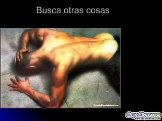 Busca otras cosas 