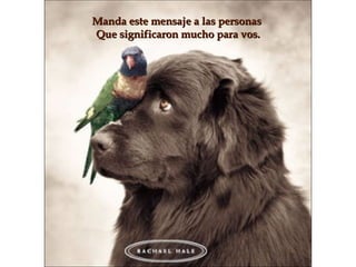 Manda este mensaje a las personas  Que significaron mucho para vos. 