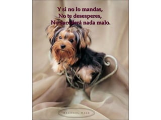 Y si no lo mandas,  No te desesperes,  No sucederá nada malo. 