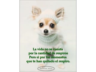 La vida no se cuenta  por la cantidad de respiros Pero si por los momentos  que te han quitado el respiro. 