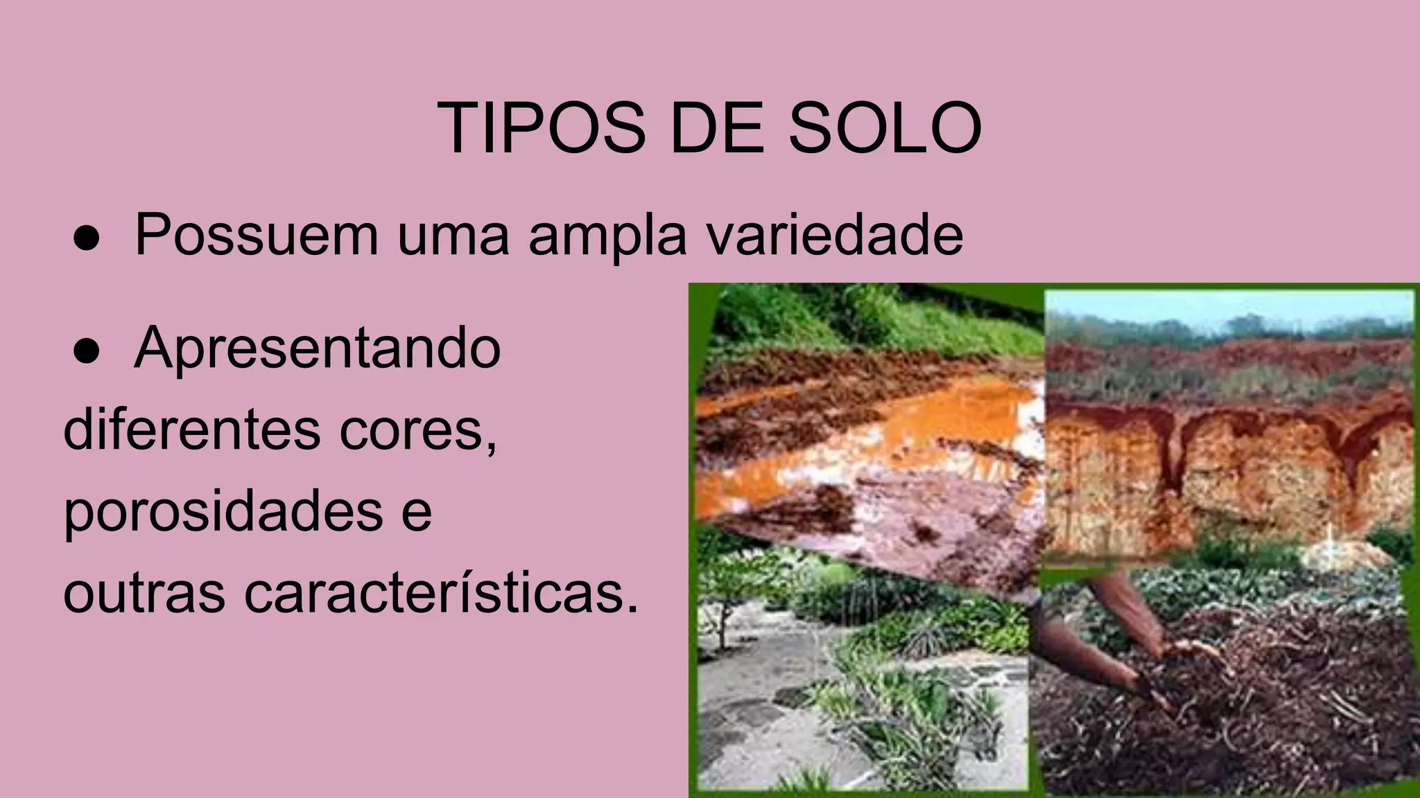TIPOS DE SOLO
● Possuem uma ampla variedade
● Apresentando
diferentes cores,
porosidades e
outras características.
 