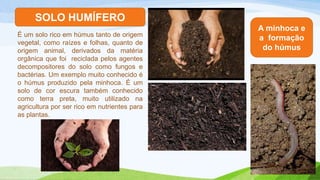 SOLO HUMÍFERO
É um solo rico em húmus tanto de origem
vegetal, como raízes e folhas, quanto de
origem animal, derivados da matéria
orgânica que foi reciclada pelos agentes
decompositores do solo como fungos e
bactérias. Um exemplo muito conhecido é
o húmus produzido pela minhoca. É um
solo de cor escura também conhecido
como terra preta, muito utilizado na
agricultura por ser rico em nutrientes para
as plantas.
A minhoca e
a formação
do húmus
 
