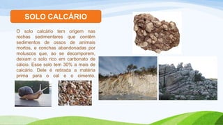 SOLO CALCÁRIO
O solo calcário tem origem nas
rochas sedimentares que contêm
sedimentos de ossos de animais
mortos, e conchas abandonadas por
moluscos que, ao se decomporem,
deixam o solo rico em carbonato de
cálcio. Esse solo tem 30% a mais de
calcário. Dele é retirada a matéria
prima para o cal e o cimento.
 