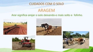 CUIDADOS COM O SOLO
ARAGEM
Arar significa arejar o solo deixando-o mais solto e fofinho.
 
