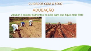 CUIDADOS COM O SOLO
ADUBAÇÃO
Adubar é colocar nutrientes no solo para que fique mais fértil
 