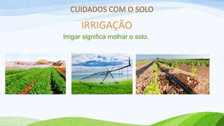 CUIDADOS COM O SOLO
IRRIGAÇÃO
Irrigar significa molhar o solo.
 
