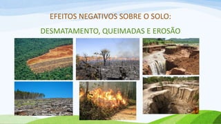 EFEITOS NEGATIVOS SOBRE O SOLO:
DESMATAMENTO, QUEIMADAS E EROSÃO
 