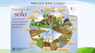 PARA QUE SERVE O SOLO?
 
