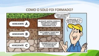 COMO O SOLO FOI FORMADO?
 