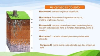 As camadas do solo
Horizonte O: camada orgânica superficial;
Horizonte A: formado de fragmentos de rocha,
matéria orgânica e húmus;
Horizonte B: camada mineral pobre em matéria orgânica,
rica em compostos de ferro e minerais resistentes, como o
quartzo;
Horizonte C: camada mineral pouco ou parcialmente
alterada;
Horizonte R: rocha matriz, não alterada que deu origem ao
solo.
 
