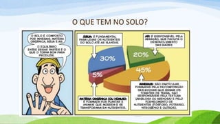 O QUE TEM NO SOLO?
 