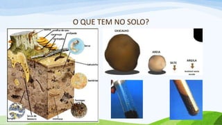 O QUE TEM NO SOLO?
 