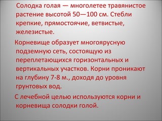 Солодка голая — многолетее травянистое
растение высотой 50—100 см. Стебли
крепкие, прямостоячие, ветвистые,
железистые.
Корневище образует многоярусную
подземную сеть, состоящую из
переплетающихся горизонтальных и
вертикальных участков. Корни проникают
на глубину 7-8 м., доходя до уровня
грунтовых вод.
С лечебной целью используются корни и
корневища солодки голой.
 