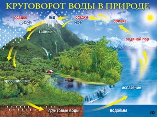 Круговорот воды 
10 
 
