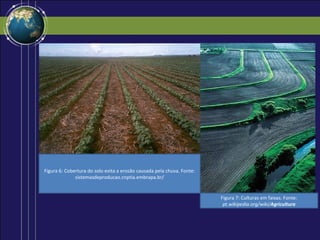 Figura 6: Cobertura do solo evita a erosão causada pela chuva. Fonte:
              sistemasdeproducao.cnptia.embrapa.br/


                                                                        Figura 7: Culturas em faixas. Fonte:
                                                                         pt.wikipedia.org/wiki/Agricultura
 