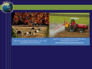 Figura 11: A mecanização excessiva contribui para a
Figura 10: A pastagem pode prejudicar o solo. Fonte:               compactação do solo. Fonte:
           alternativas.ttverde.net/?p=136                portal.alternativabrasil.org/portal/show/305.
 