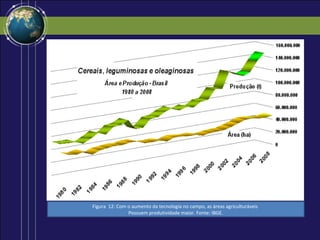 Figura 12: Com o aumento da tecnologia no campo, as áreas agriculturáveis
               Possuem produtividade maior. Fonte: IBGE.
 
