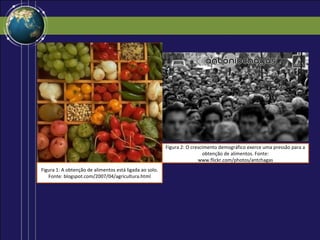 Figura 2: O crescimento demográfico exerce uma pressão para a
                                                                           obtenção de alimentos. Fonte:
                                                                        www.flickr.com/photos/antchagas
Figura 1: A obtenção de alimentos está ligada ao solo.
   Fonte: blogspot.com/2007/04/agricultura.html
 