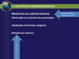 > ● AS PRÁTICAS CONSERVACIONISTAS:

❶PRÁTICAS DE CARÁTER EDÁFICO:           Procura manter e
                                         melhorar o solo
Eliminação ou controle das queimadas;

Adubações (incluindo calagem);

Rotação de culturas;
    A
    L
    T
    E
    N
    Â
    N
    C
    I
    A
 