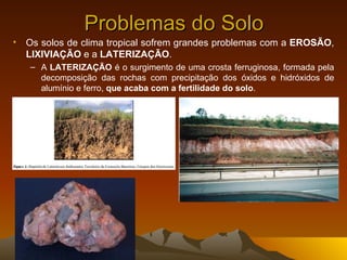 Problemas do Solo
• Os solos de clima tropical sofrem grandes problemas com a EROSÃO,
  LIXIVIAÇÃO e a LATERIZAÇÃO.
   – A LATERIZAÇÃO é o surgimento de uma crosta ferruginosa, formada pela
     decomposição das rochas com precipitação dos óxidos e hidróxidos de
     alumínio e ferro, que acaba com a fertilidade do solo.
 